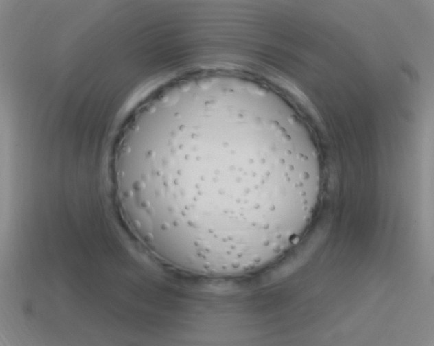 X0000114610978200910200936