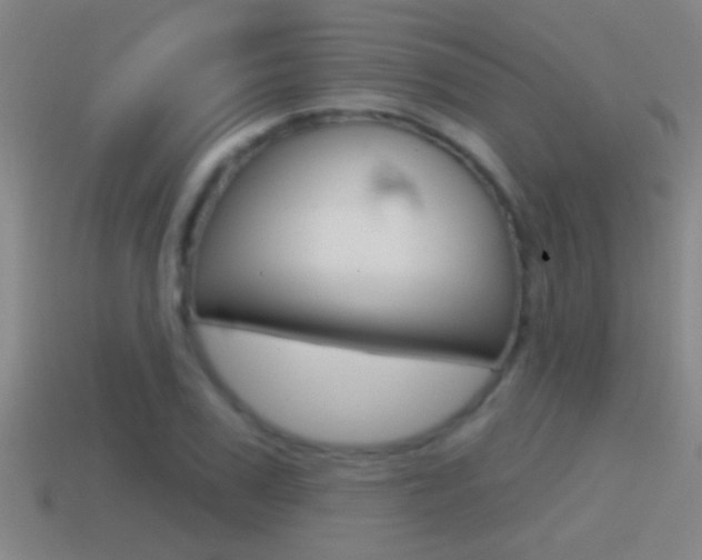 X0000114610979200910200936