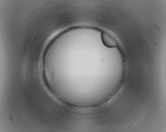 X0000114610982200910200936