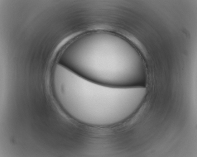 X0000114610983200910200936