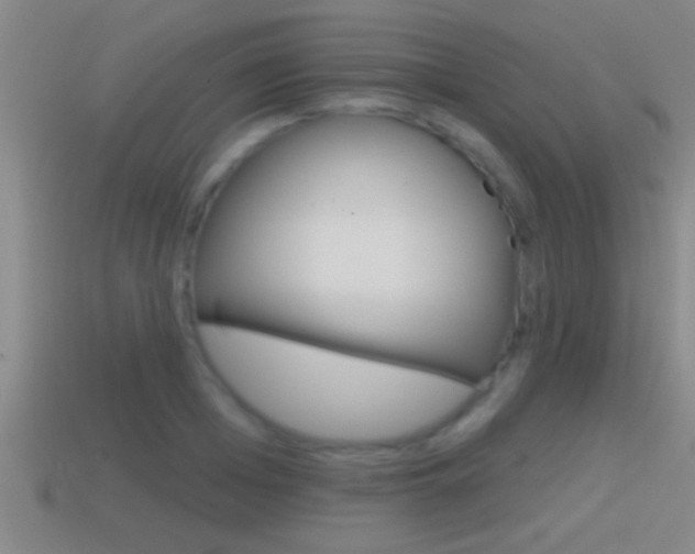 X0000114610985200910200936
