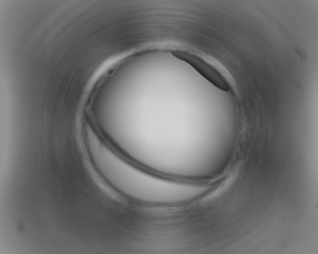 X0000114610989200910200936