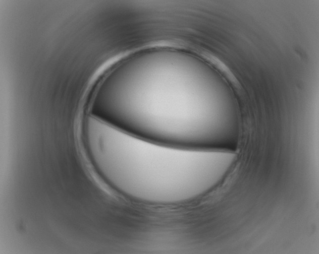 X0000114610991200910200936