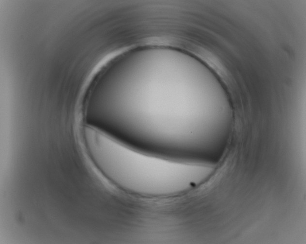 X0000114610992200910200936