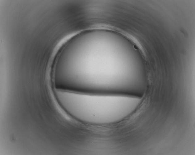 X0000114610995200910200936