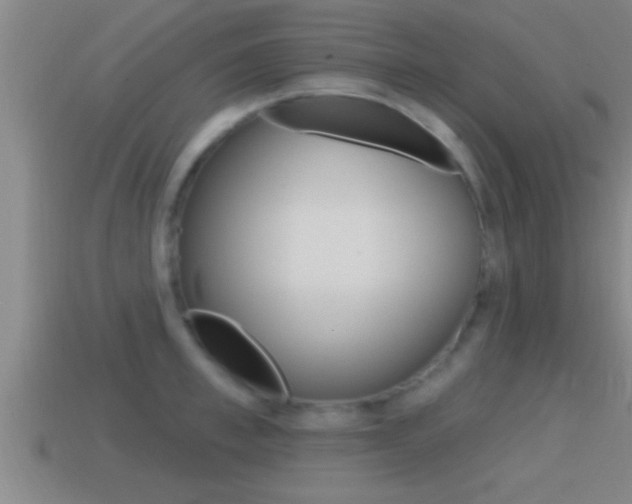 X0000114610997200910200936