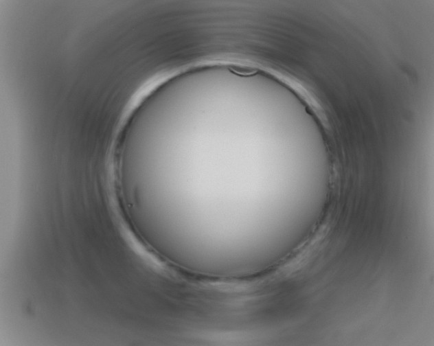 X0000114610998200910200936