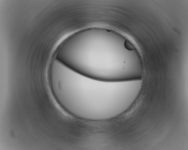 X0000114610999200910200936