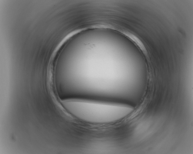 X0000114611000200910200936