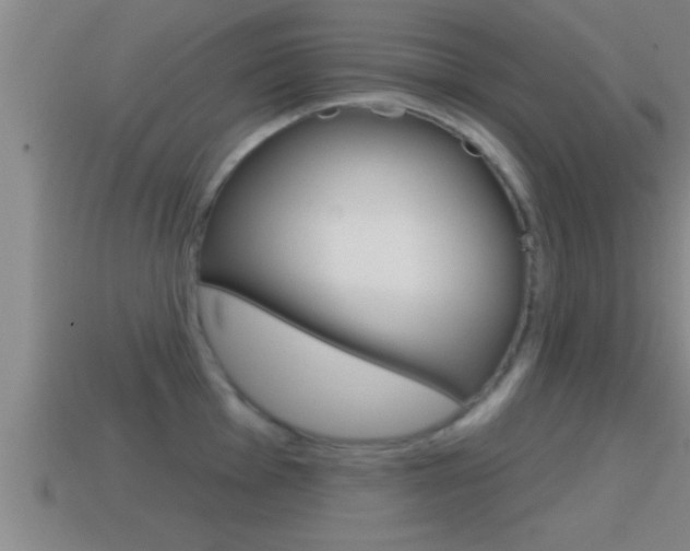 X0000114611001200910200936