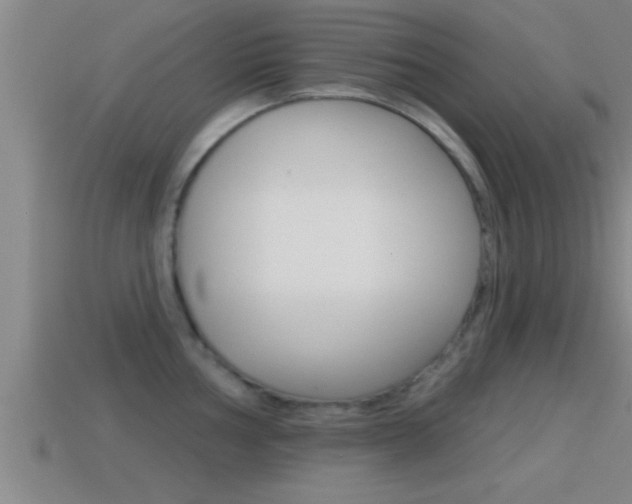 X0000114611002200910200936