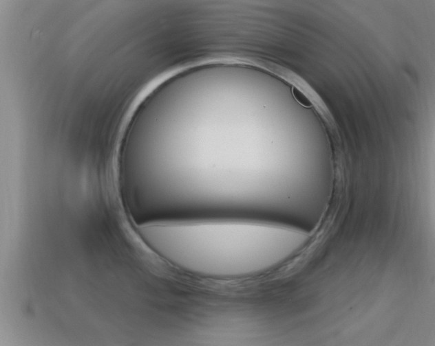 X0000114611004200910200936
