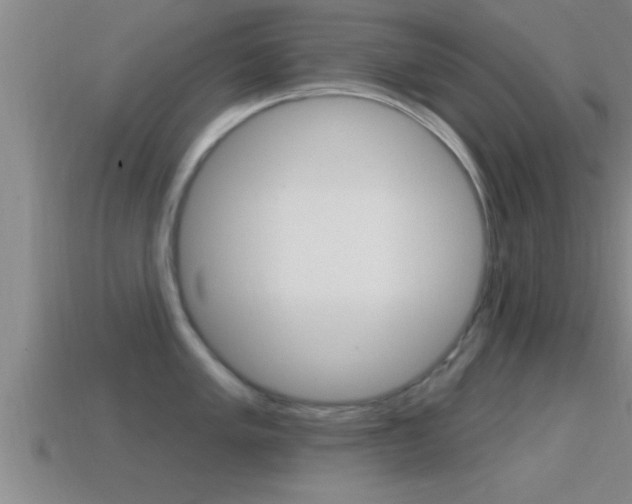 X0000114611005200910200936