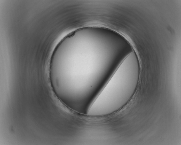 X0000114611008200910200936