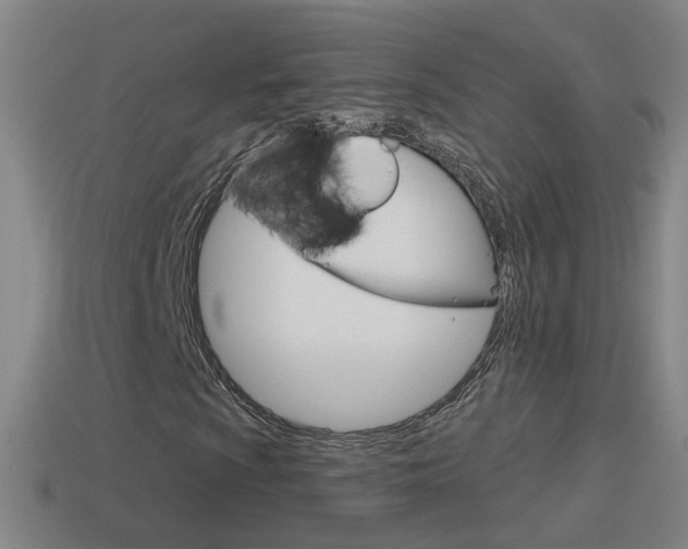 X0000114611009200910200935