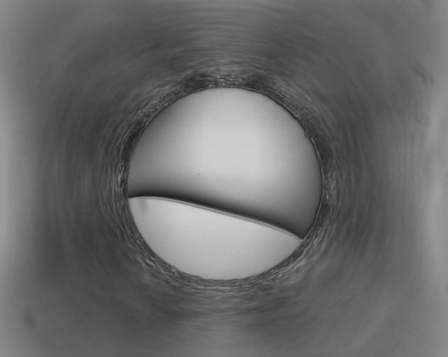 X0000114611010200910200935