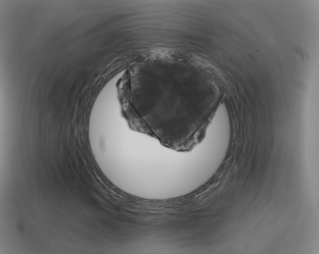 X0000114611011200910200935