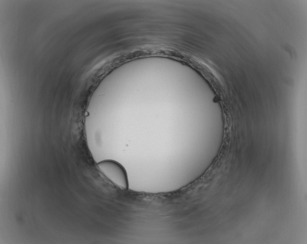 X0000114611015200910200935
