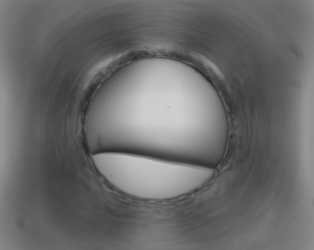 X0000114611016200910200935