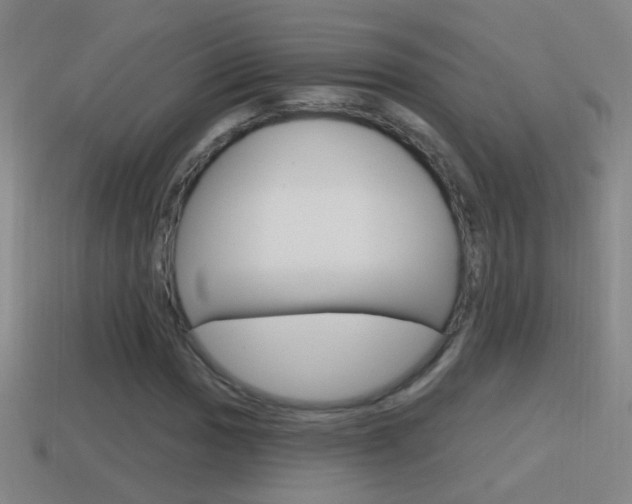X0000114611017200910200935