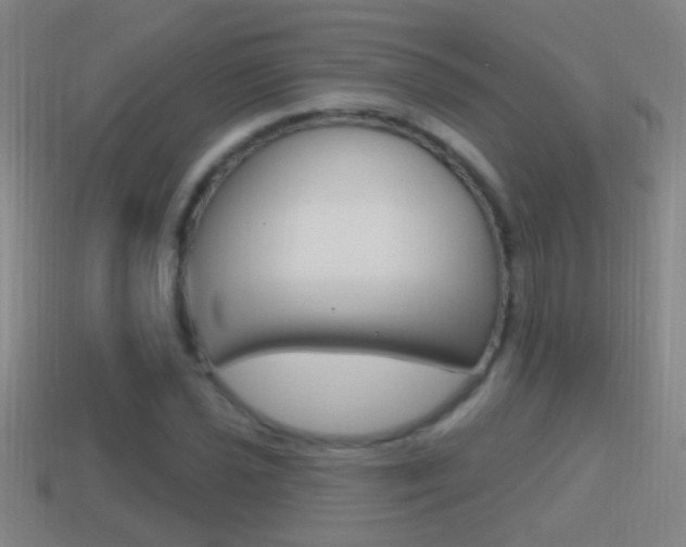 X0000114611021200910200935