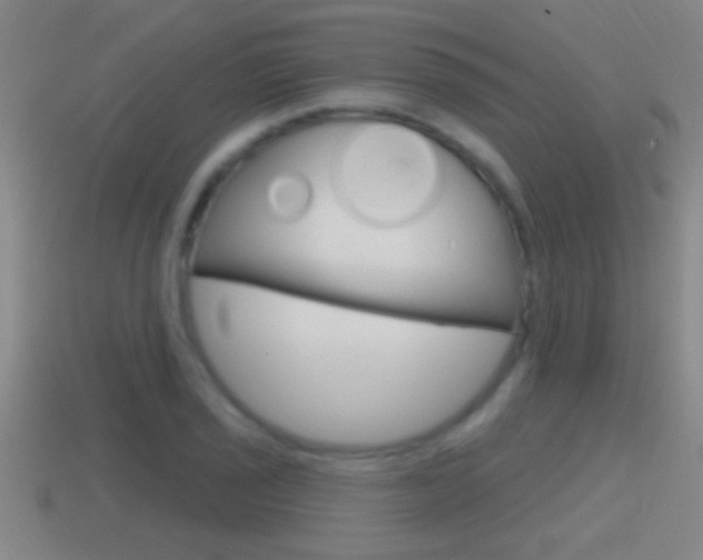 X0000114611029200910200936