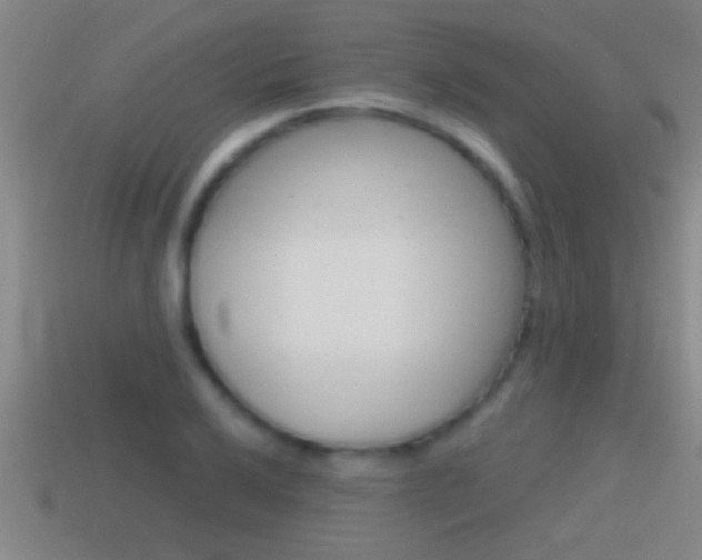 X0000114611032200910200936
