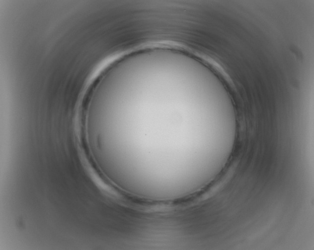 X0000114611038200910200936