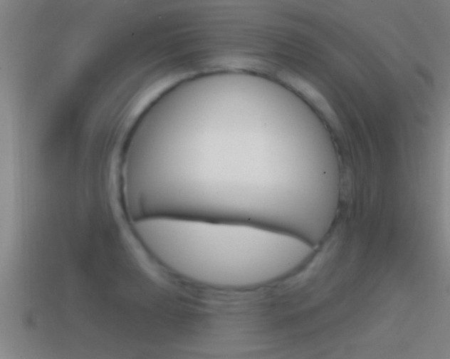 X0000114611039200910200936