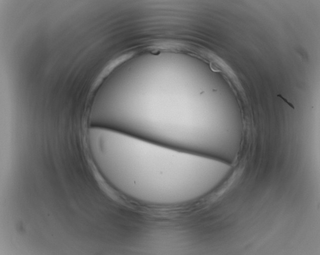 X0000114611041200910200936