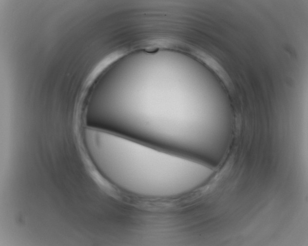 X0000114611042200910200936