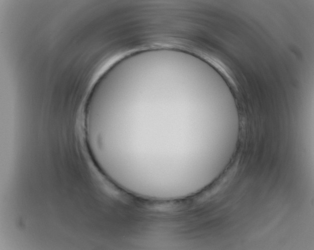 X0000114611047200910200936