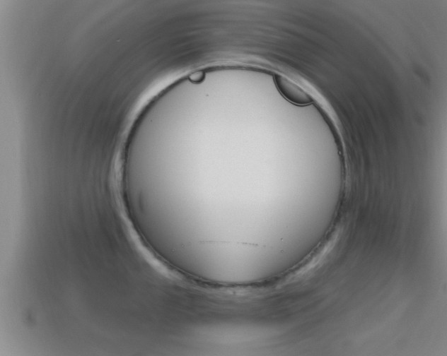 X0000114611053200910200936