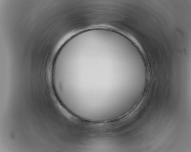 X0000114611054200910200936
