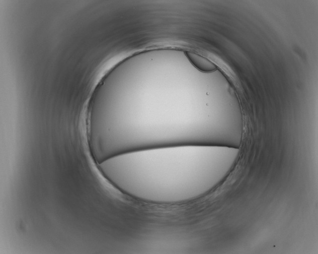 X0000114611055200910200936