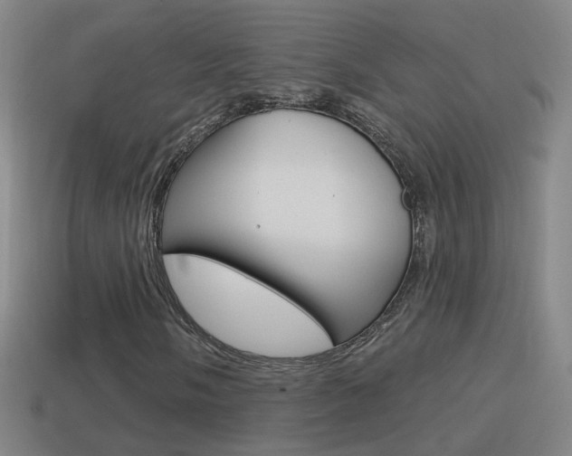 X0000114611058200910200935