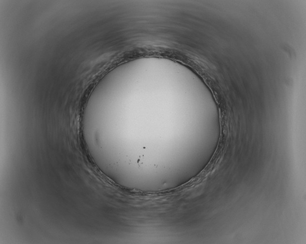 X0000114611061200910200935