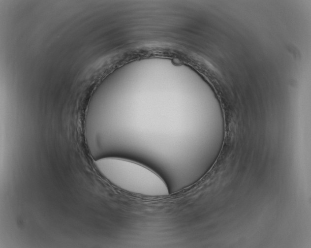 X0000114611062200910200935