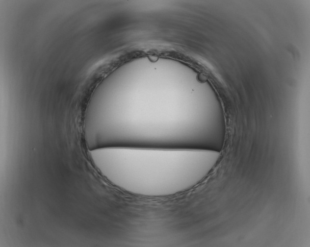 X0000114611063200910200935