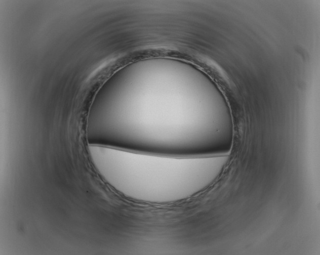 X0000114611064200910200935