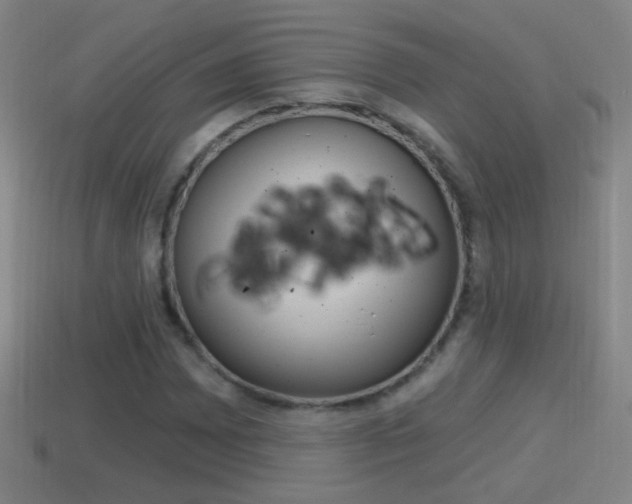X0000114611065200910200935