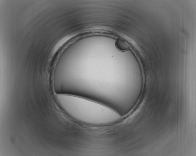 X0000114611066200910200935