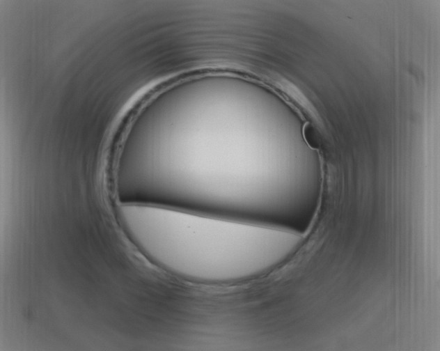 X0000114611068200910200935