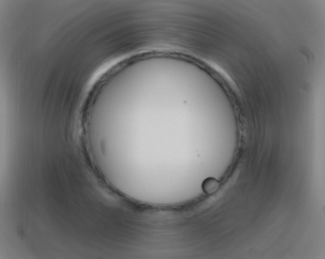 X0000114611070200910200935