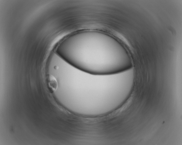 X0000114611071200910200935