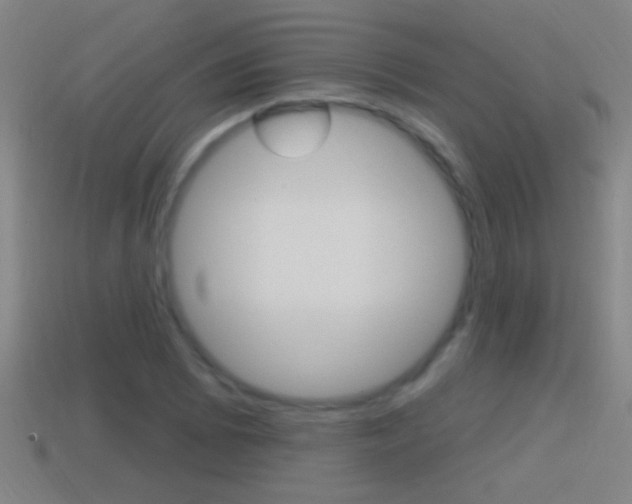 X0000114611073200910200935