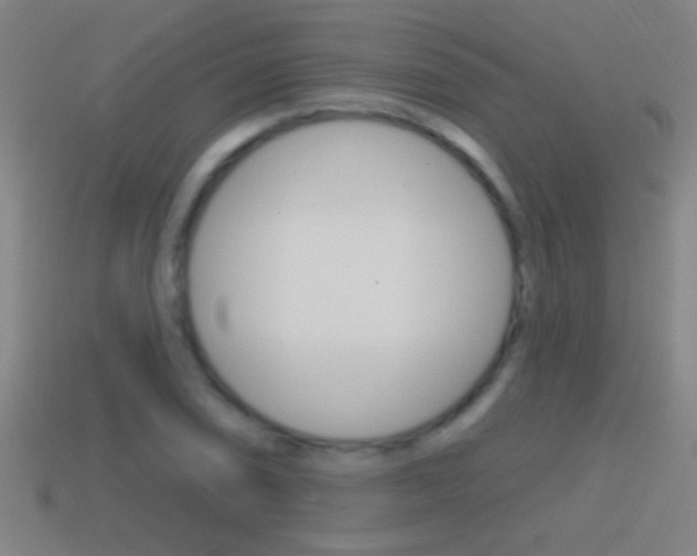 X0000114611074200910200935