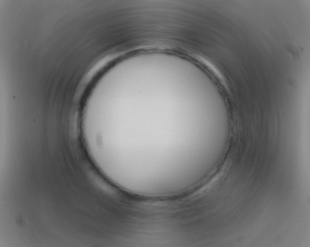 X0000114611075200910200935