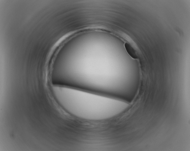 X0000114611076200910200935