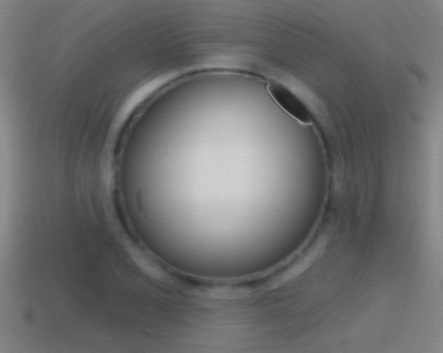 X0000114611077200910200935